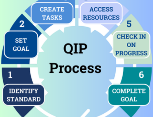 The QUALITYstarsNY Quality Improvement Planning Process